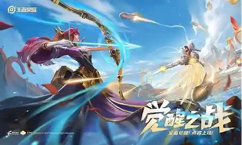 觉醒之战海盗阵容搭配插图