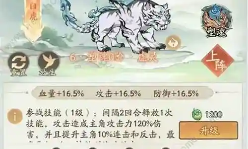后期白虎阵容怎么搭配插图