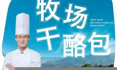 顽皮老板阵容推荐搭配插图