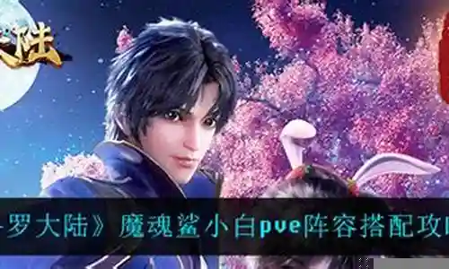 小白pve阵容搭配攻略插图
