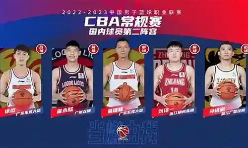常规赛阵容搭配