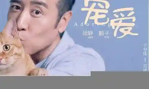 宠爱明星阵容搭配插图