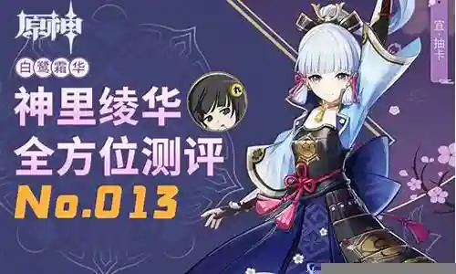 白鹭霜华阵容搭配插图