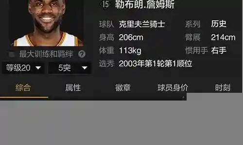 5突詹姆斯搭配阵容插图