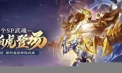 白虎志搭配什么阵容插图