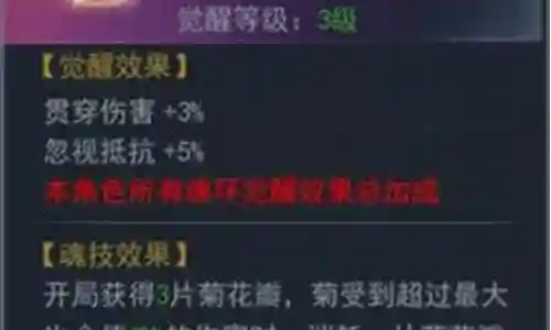 主菊搭配阵容