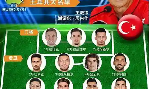 土耳其队阵容搭配插图