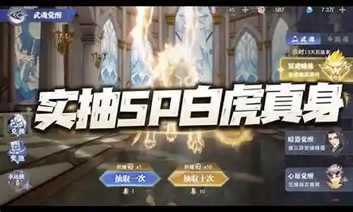 白虎真身pk阵容搭配插图
