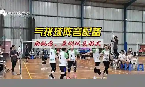 排球阵容搭配的概念插图