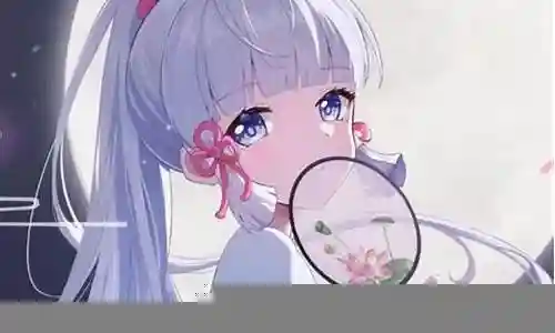 绫华阵容搭配七七插图