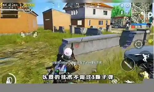 猫pk阵容搭配