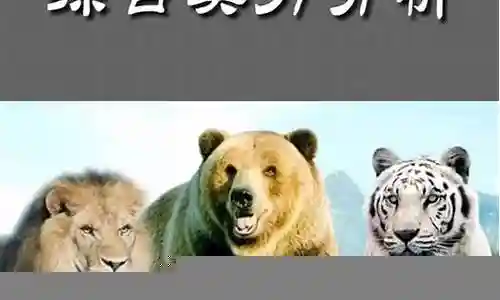 老虎pk魂环阵容搭配插图
