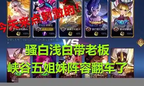 骚白完美阵容搭配图片插图