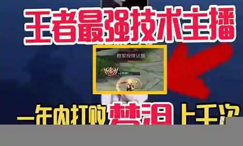 史上最强阵容梦泪插图