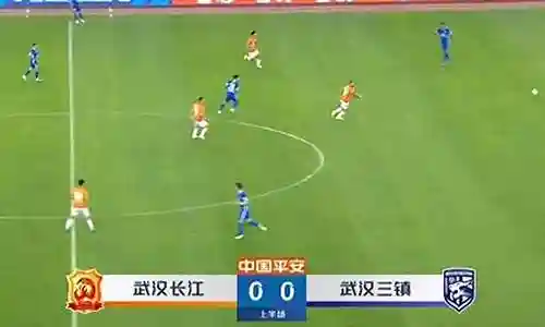 中超武汉长江阵容插图