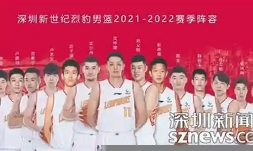 深圳男篮2022阵容队员插图