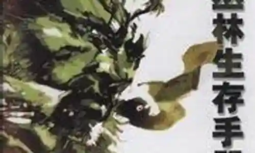 合金装备5dd最强技能插图