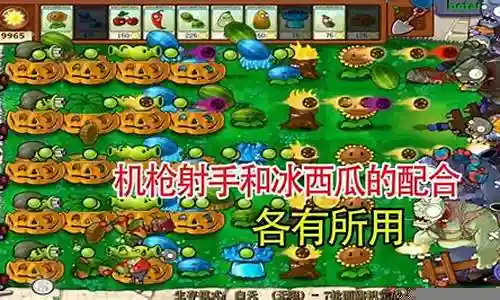 植物大战僵尸国际白天阵容插图
