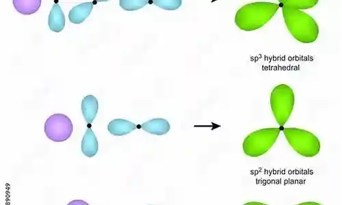 sp幽冥白虎阵容搭配新手插图