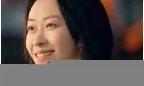 龙城 演员阵容表插图