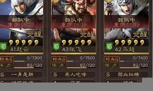 赵云张飞最佳阵容搭配插图