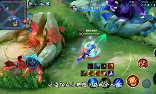玩老虎的阵容搭配插图