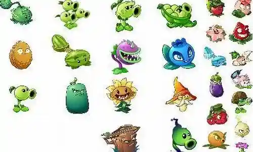 5阶植物最强阵容插图