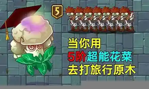 超能花菜技能插图