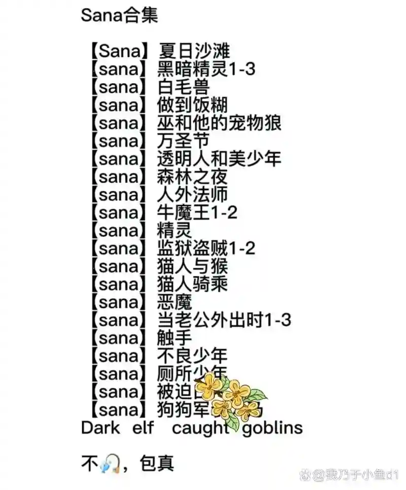sana阵容思路插图