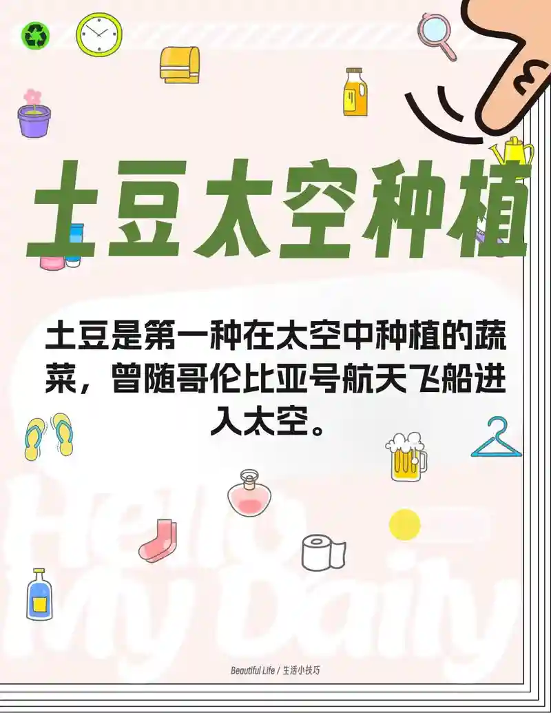 太空土豆攻略插图