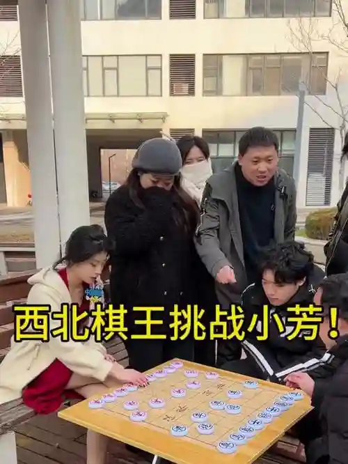 西北棋王阵容
