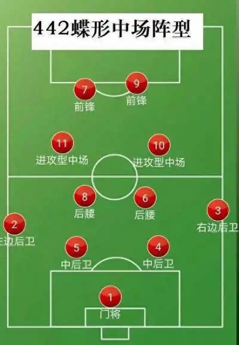 中场帅气阵容