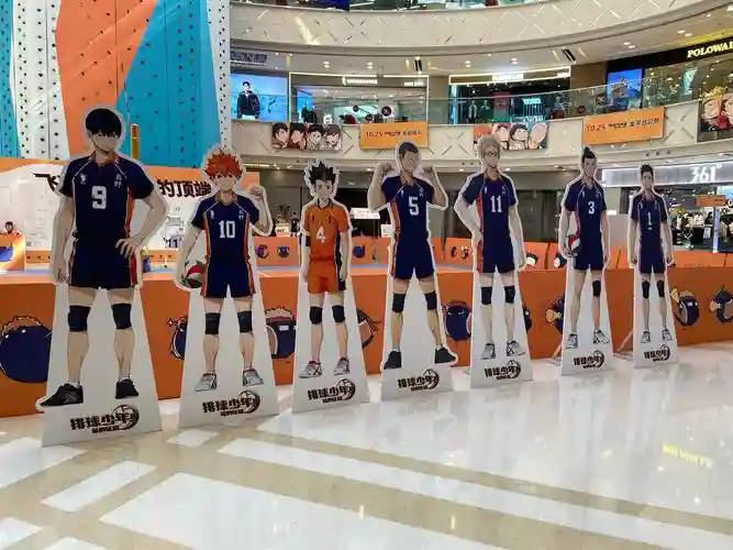 排球五一阵容插图1