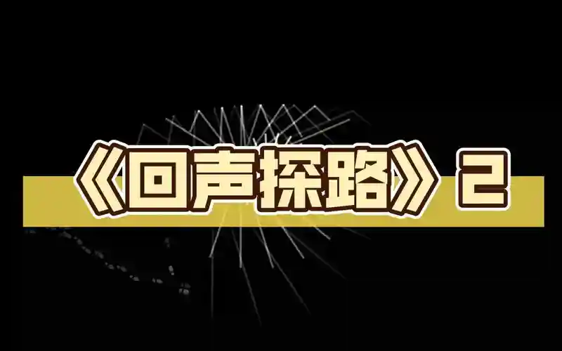 回声探路后果攻略插图
