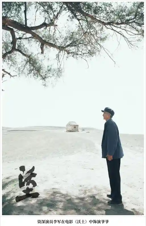 沃土阵容插图