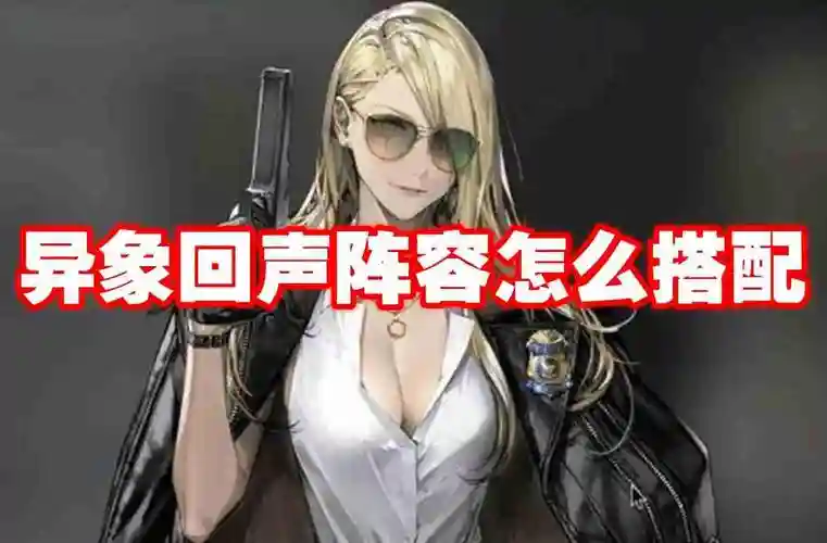 回声阵容插图