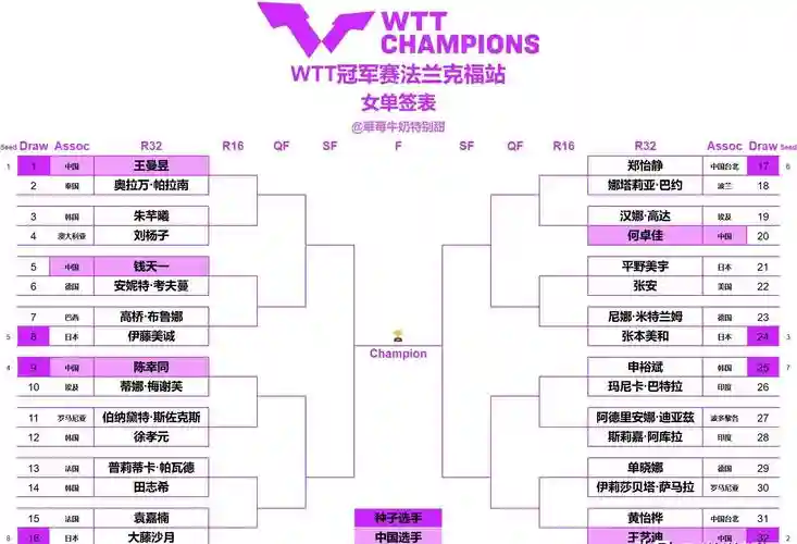 冠军阵容翻译插图