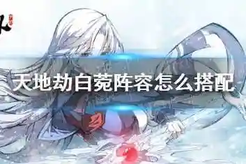 白菀阵容