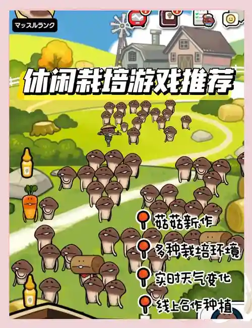 蘑蘑菇阵容