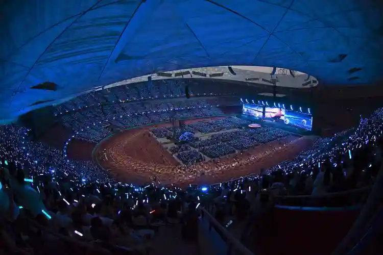鸟巢阵容