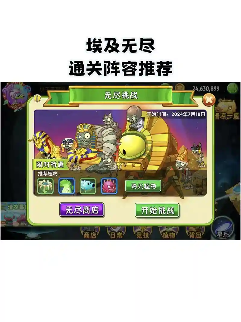 pvz阵容解说插图