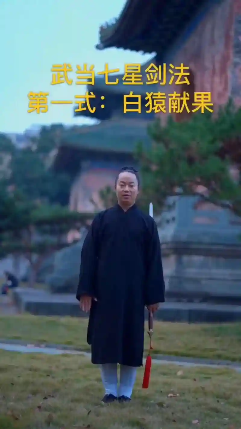 剑网2武当道家技能实用插图