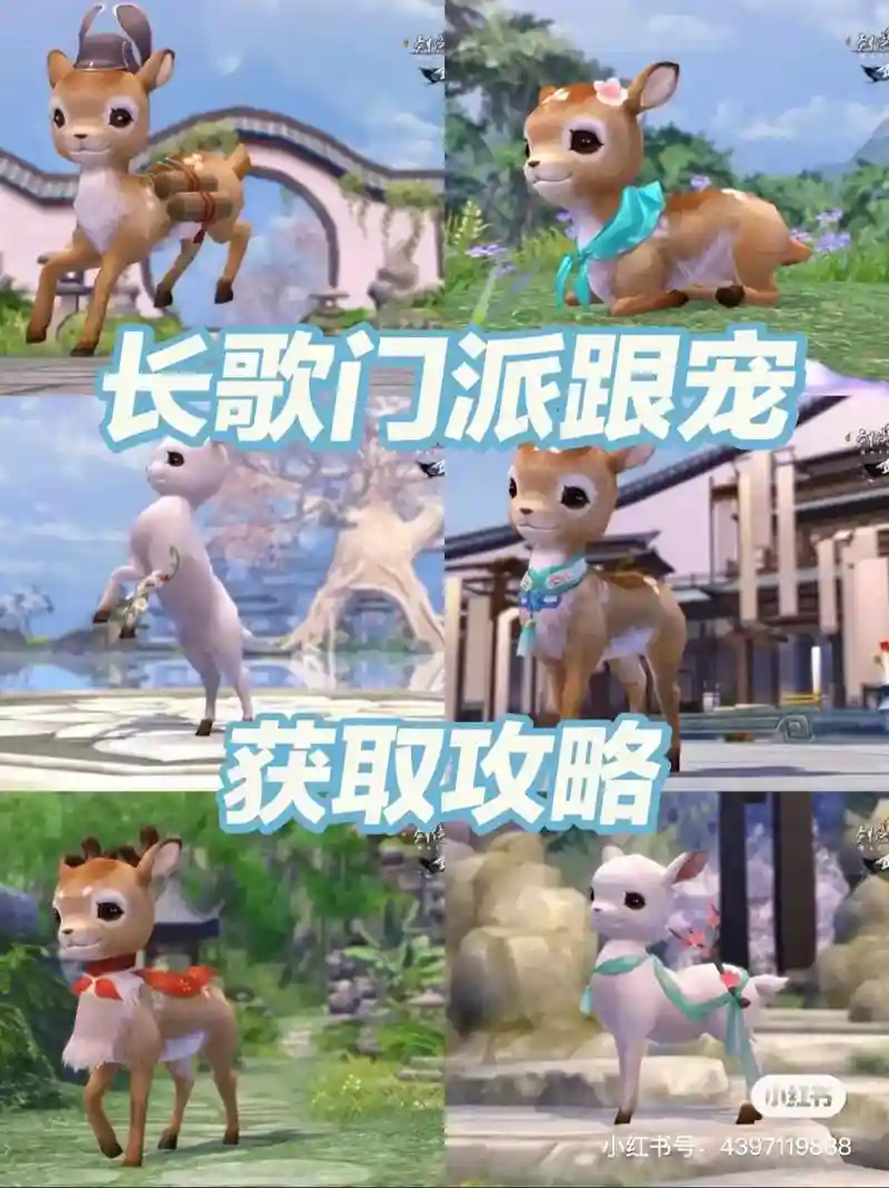 长歌pvp攻略