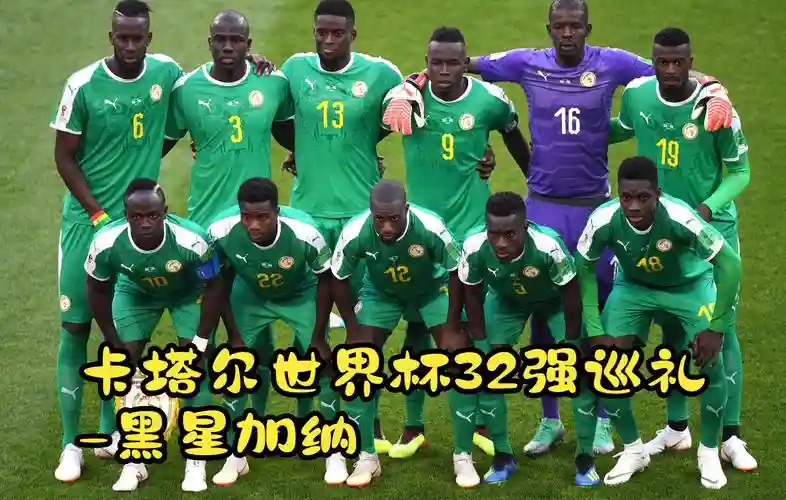 加纳阵容合照插图