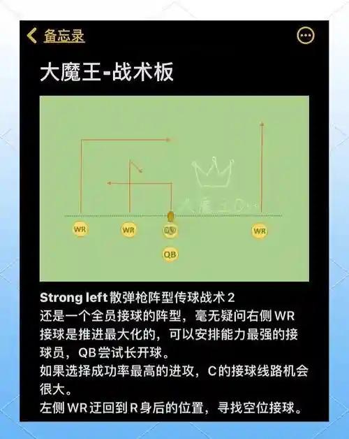 腰子的阵容插图1