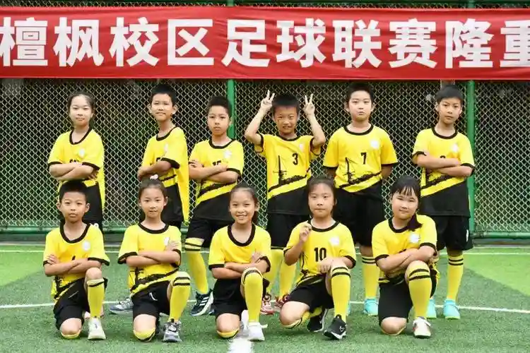 小学球队阵容插图
