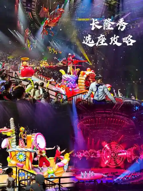 长隆阵容_1插图1