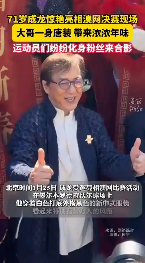 皮成龙阵容插图1