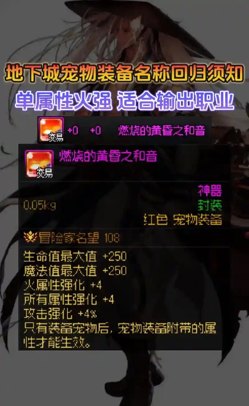 选什么宠物装备好插图1