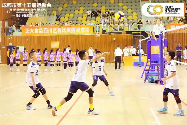 排球15阵容